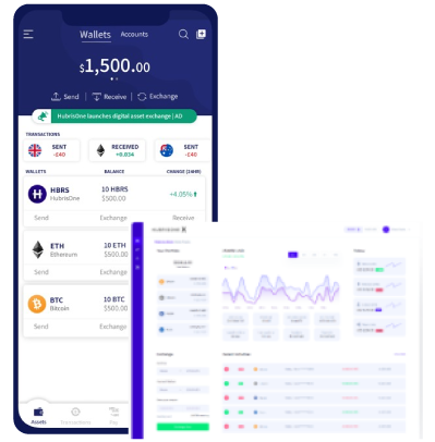 Top remote Web and Mobile development company in Pune India hubrisonex1